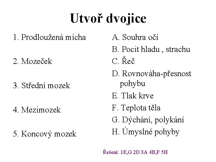 Utvoř dvojice 1. Prodloužená mícha 2. Mozeček 3. Střední mozek 4. Mezimozek 5. Koncový