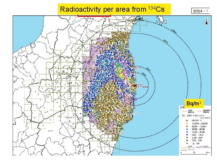 Radioactivity per area from 134 Cs Bq/m 2 