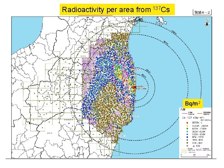 Radioactivity per area from 137 Cs Bq/m 2 