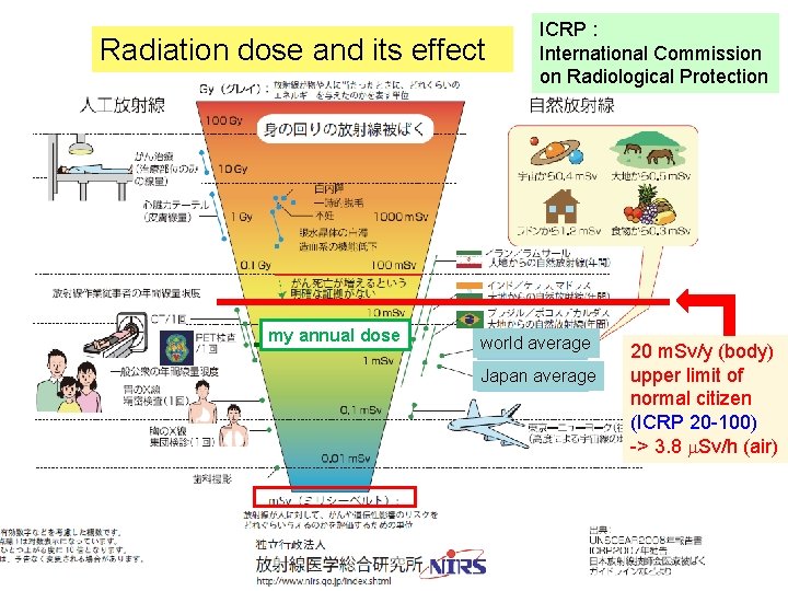 3 Radiation dose and its effect my annual dose ICRP : International Commission on