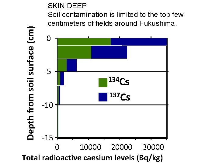 Depth from soil surface (cm) SKIN DEEP Soil contamination is limited to the top