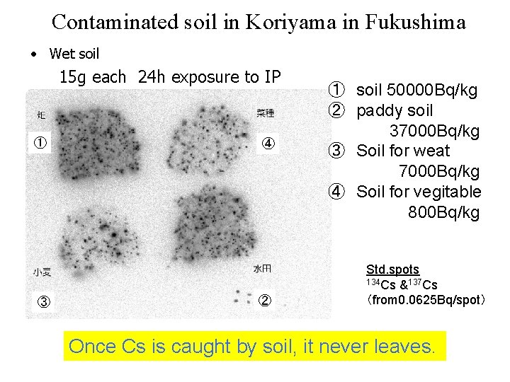 Contaminated soil in Koriyama in Fukushima • Wet soil 15 g each 24 h