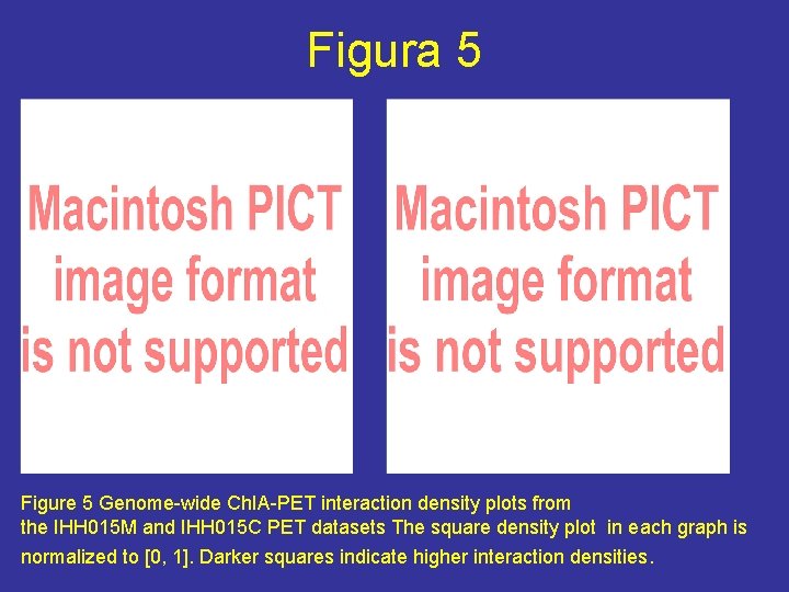 Figura 5 Figure 5 Genome-wide Ch. IA-PET interaction density plots from the IHH 015