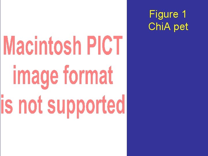 Figure 1 Chi. A pet 