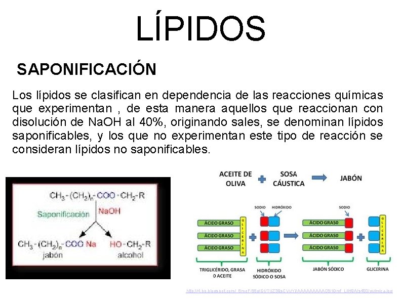 LÍPIDOS SAPONIFICACIÓN Los lípidos se clasifican en dependencia de las reacciones químicas que experimentan