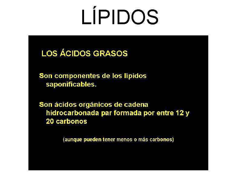 LÍPIDOS 