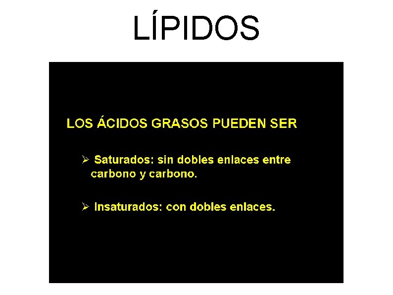 LÍPIDOS 