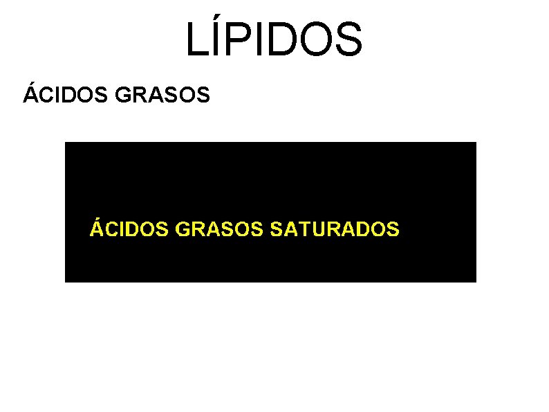 LÍPIDOS ÁCIDOS GRASOS 