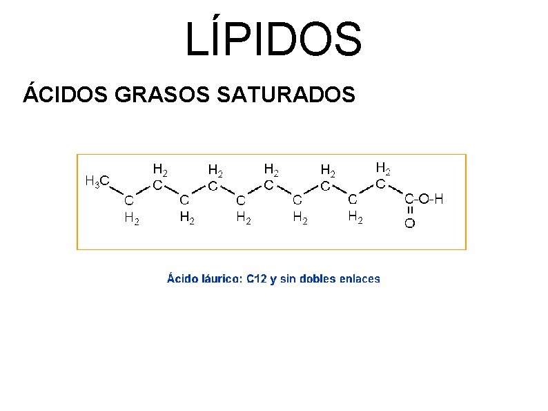 LÍPIDOS ÁCIDOS GRASOS SATURADOS 