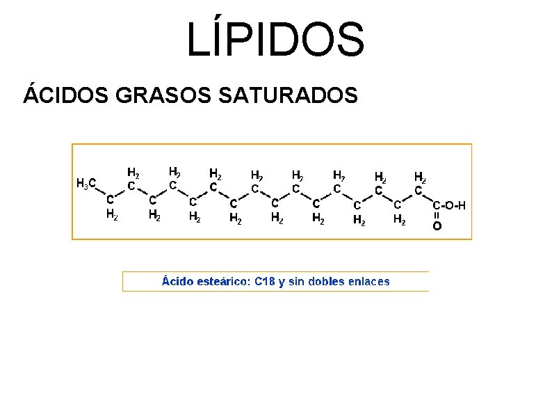 LÍPIDOS ÁCIDOS GRASOS SATURADOS 