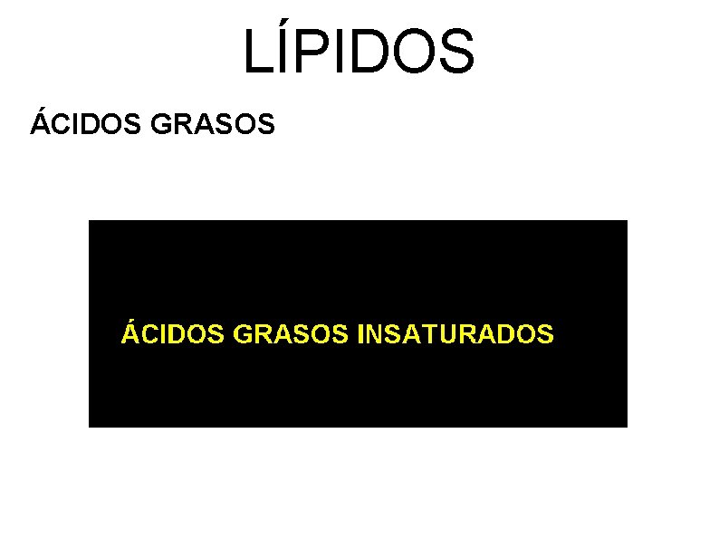 LÍPIDOS ÁCIDOS GRASOS 