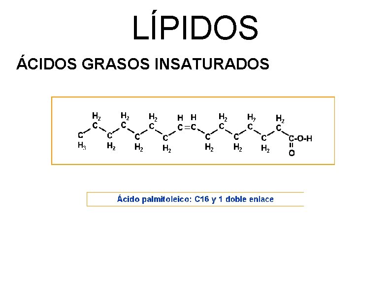 LÍPIDOS ÁCIDOS GRASOS INSATURADOS 