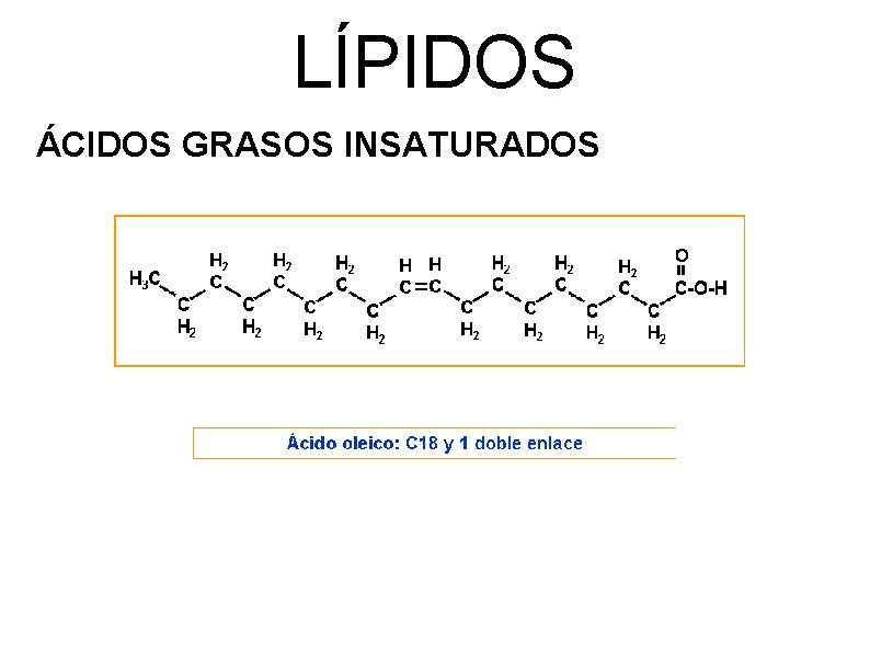 LÍPIDOS ÁCIDOS GRASOS INSATURADOS 