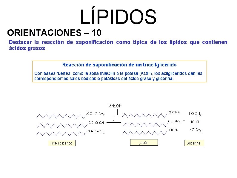 LÍPIDOS ORIENTACIONES – 10 Destacar la reacción de saponificación como típica de los lípidos