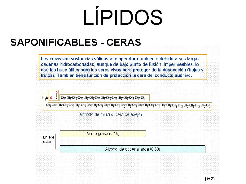 LÍPIDOS SAPONIFICABLES - CERAS 