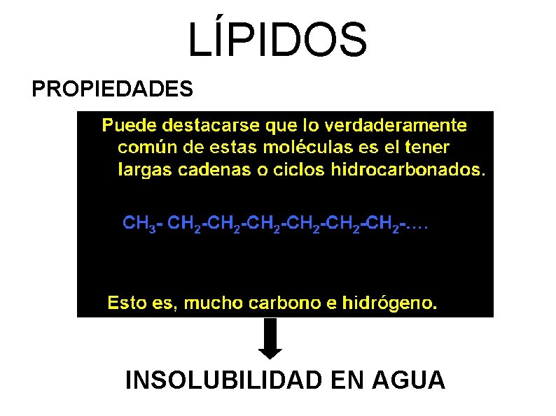 LÍPIDOS PROPIEDADES INSOLUBILIDAD EN AGUA 