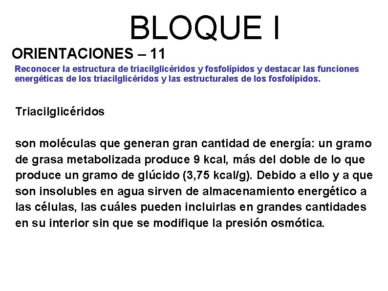 BLOQUE I ORIENTACIONES – 11 Reconocer la estructura de triacilglicéridos y fosfolípidos y destacar