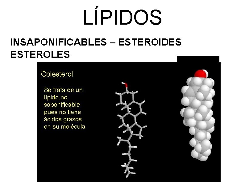 LÍPIDOS INSAPONIFICABLES – ESTEROIDES ESTEROLES 