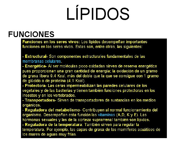 LÍPIDOS FUNCIONES 