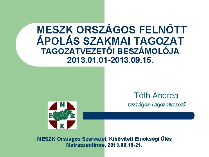 MESZK ORSZÁGOS FELNŐTT ÁPOLÁS SZAKMAI TAGOZATVEZETŐI BESZÁMOLÓJA 2013. 01 -2013. 09. 15. Tóth Andrea