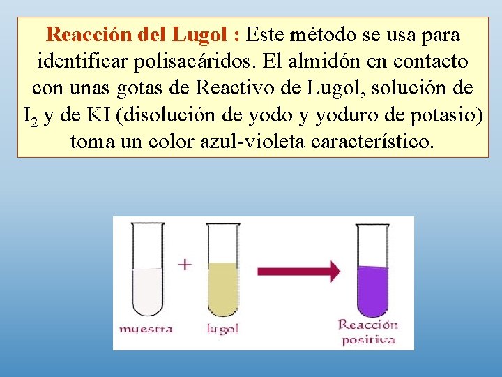 Reacción del Lugol : Este método se usa para identificar polisacáridos. El almidón en