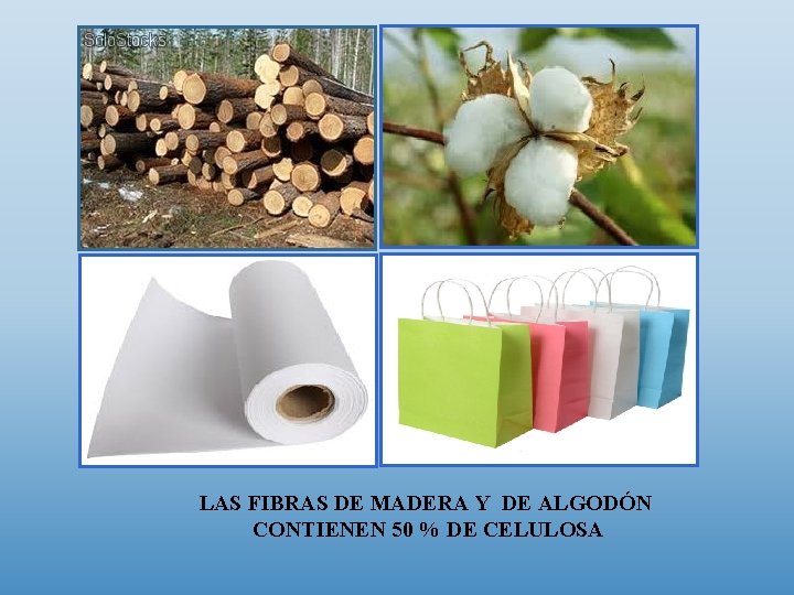 LAS FIBRAS DE MADERA Y DE ALGODÓN CONTIENEN 50 % DE CELULOSA 