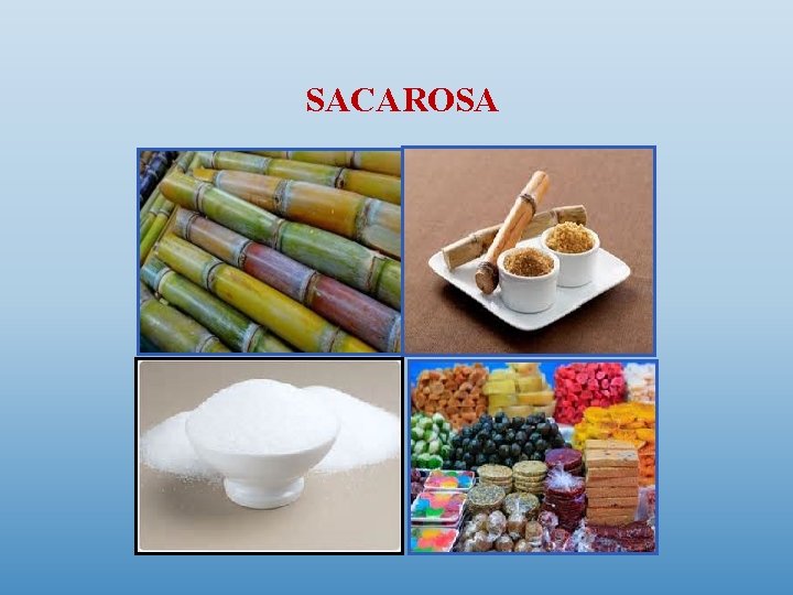 SACAROSA 