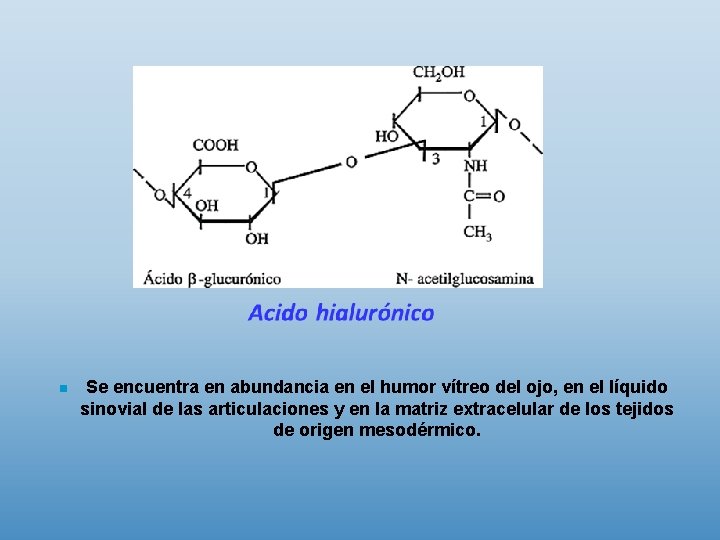 n Se encuentra en abundancia en el humor vítreo del ojo, en el líquido