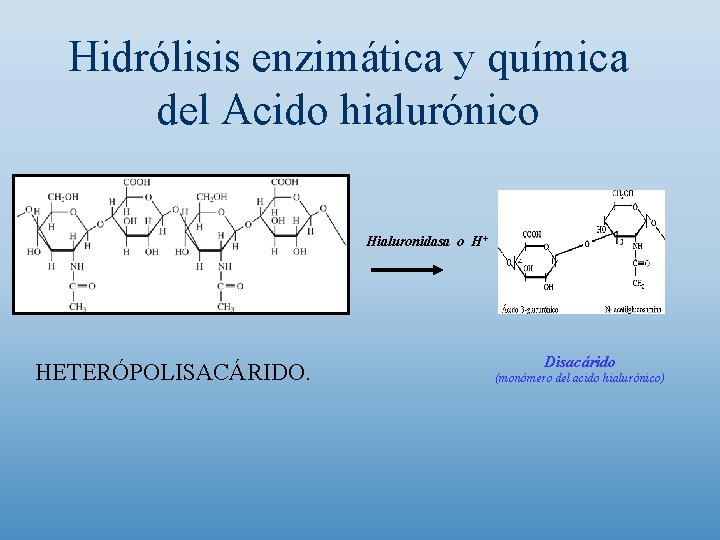 Hidrólisis enzimática y química del Acido hialurónico Hialuronidasa o H+ HETERÓPOLISACÁRIDO. Disacárido (monómero del