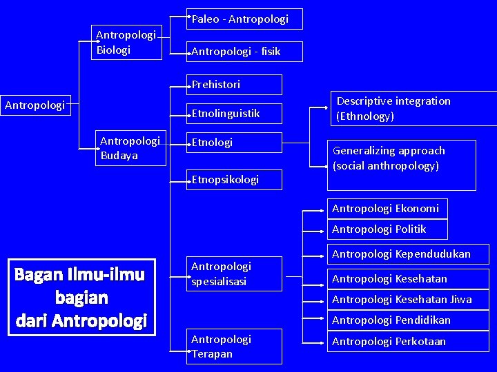 Paleo - Antropologi Biologi Antropologi - fisik Prehistori Antropologi Etnolinguistik Antropologi Budaya Etnologi Etnopsikologi