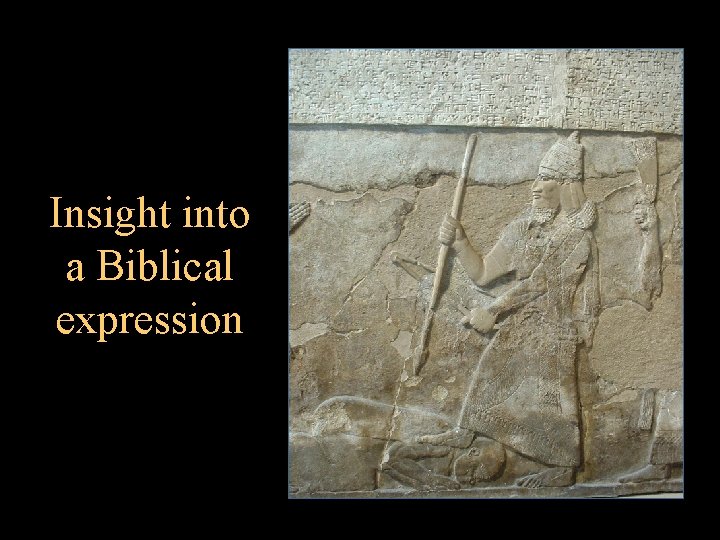 Insight into a Biblical expression 