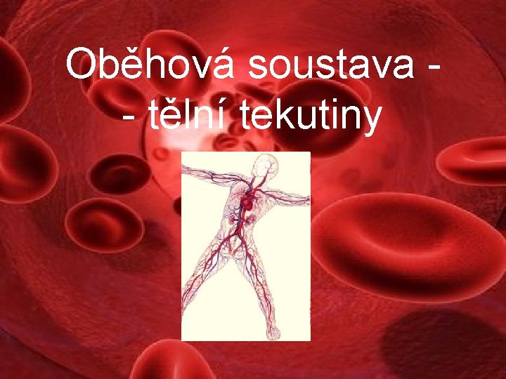 Oběhová soustava - tělní tekutiny 