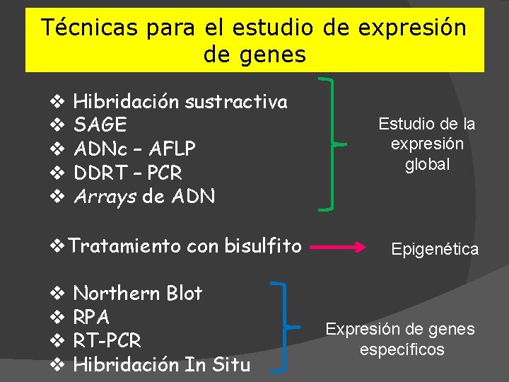 Técnicas para el estudio de expresión de genes v Hibridación sustractiva v SAGE v
