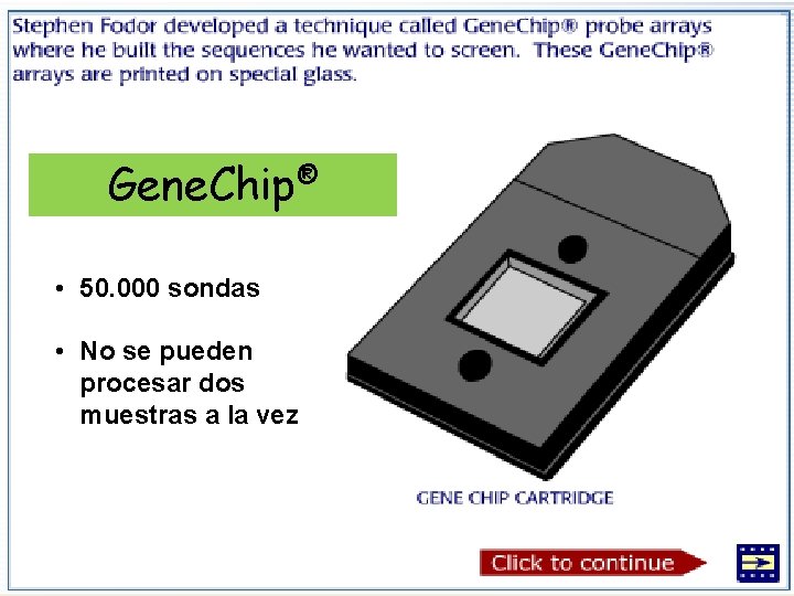 Gene. Chip® • 50. 000 sondas • No se pueden procesar dos muestras a