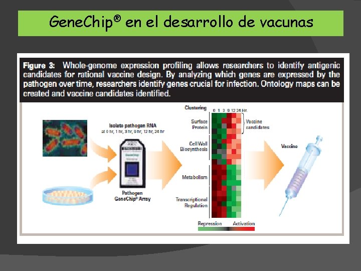 Gene. Chip® en el desarrollo de vacunas 