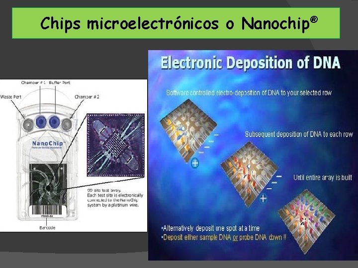 Chips microelectrónicos o Nanochip® 