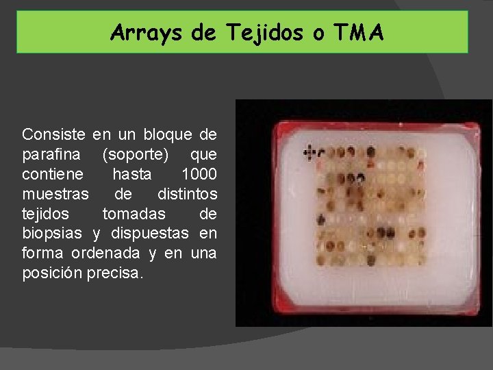 Arrays de Tejidos o TMA Consiste en un bloque de parafina (soporte) que contiene