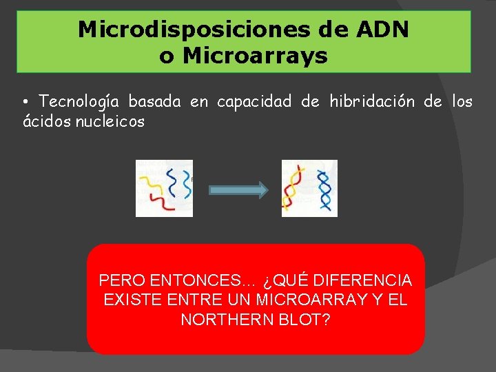 Microarray de ácidosde nucleicos Microdisposiciones ADN o Microarrays • Tecnología basada en capacidad de
