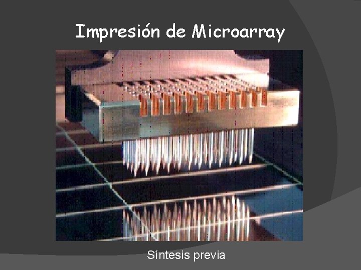 Impresión de Microarray Síntesis previa 