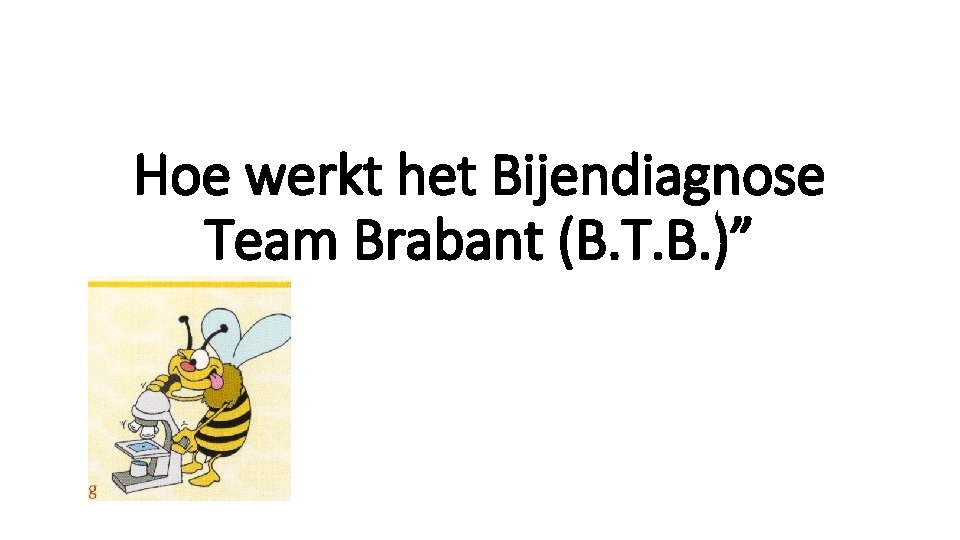 Hoe werkt het Bijendiagnose Team Brabant (B. T. B. )” 