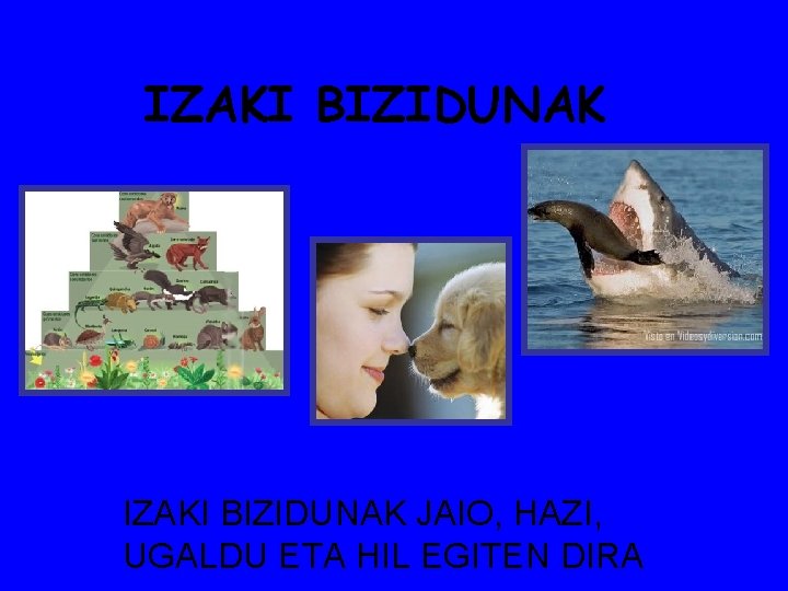 IZAKI BIZIDUNAK JAIO, HAZI, UGALDU ETA HIL EGITEN DIRA 