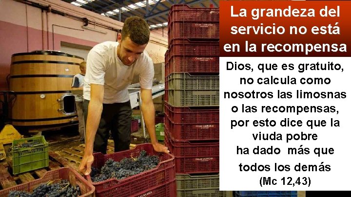 La grandeza del servicio no está en la recompensa Dios, que es gratuito, no