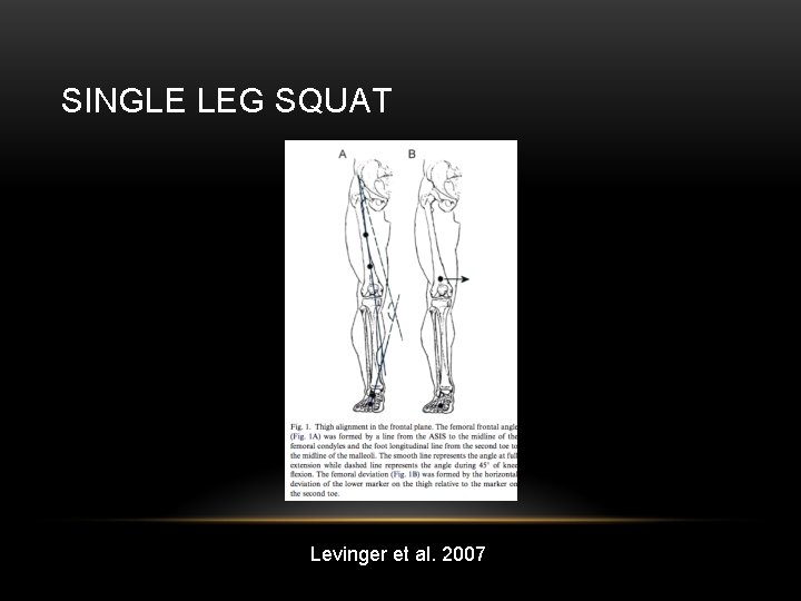 SINGLE LEG SQUAT Levinger et al. 2007 