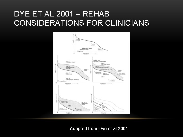 DYE ET AL 2001 – REHAB CONSIDERATIONS FOR CLINICIANS Adapted from Dye et al