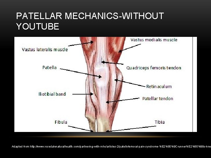 PATELLAR MECHANICS-WITHOUT YOUTUBE Adapted from http: //www. rosedalenaturalhealth. com/partnering-with-rnhc/articles-2/patellofemoral-pain-syndrome-%E 2%80%9 Crunner%E 2%80%99 s-kne 