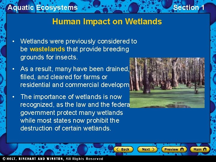 Aquatic Ecosystems Human Impact on Wetlands • Wetlands were previously considered to be wastelands