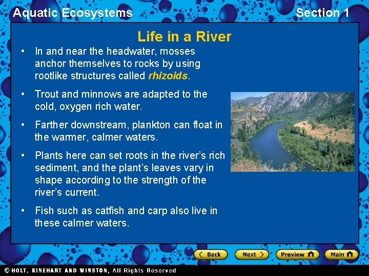Aquatic Ecosystems Section 1 Life in a River • In and near the headwater,