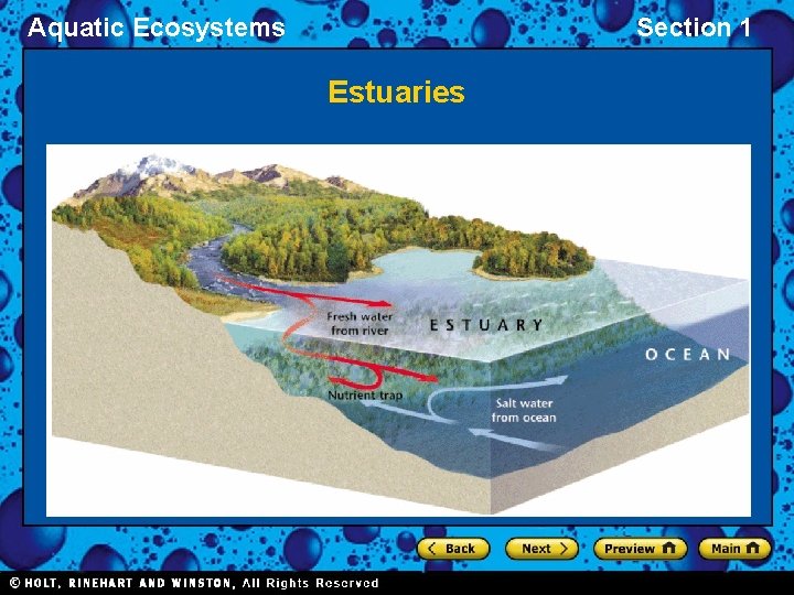 Aquatic Ecosystems Section 1 Estuaries 
