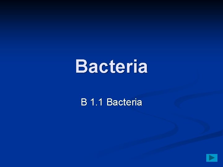 Bacteria B 1. 1 Bacteria 