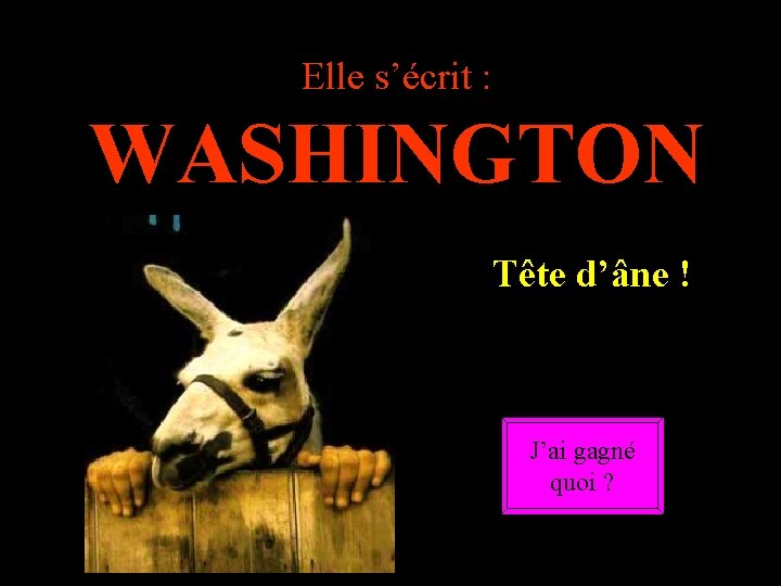 Elle s’écrit : WASHINGTON …………. . Tête d’âne ! J’ai gagné quoi ? 